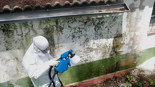 Top rated local Mold Inspection And Testing specialists in Damascus, OR